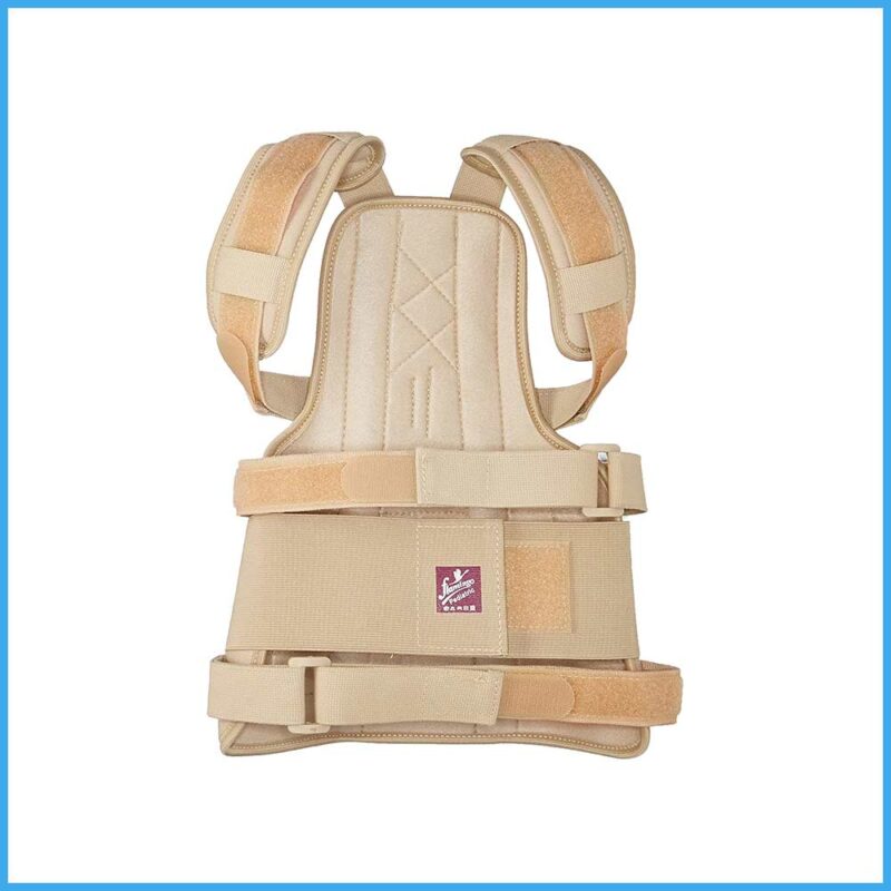 Dorso Lumbar Spinal Brace Flamingo