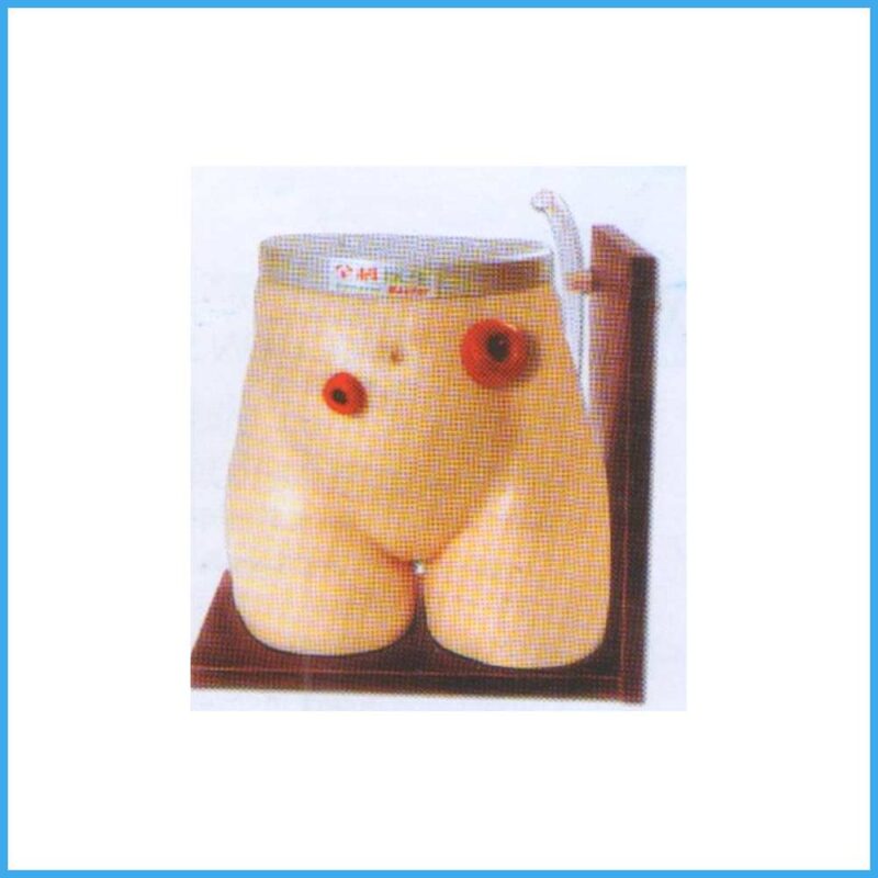 CSS 58 Ostomy Care Simulator Soft