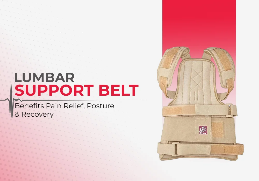 Lumbar support belt - Citiscientific Supply